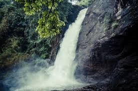 Waterfalls in Wayanad